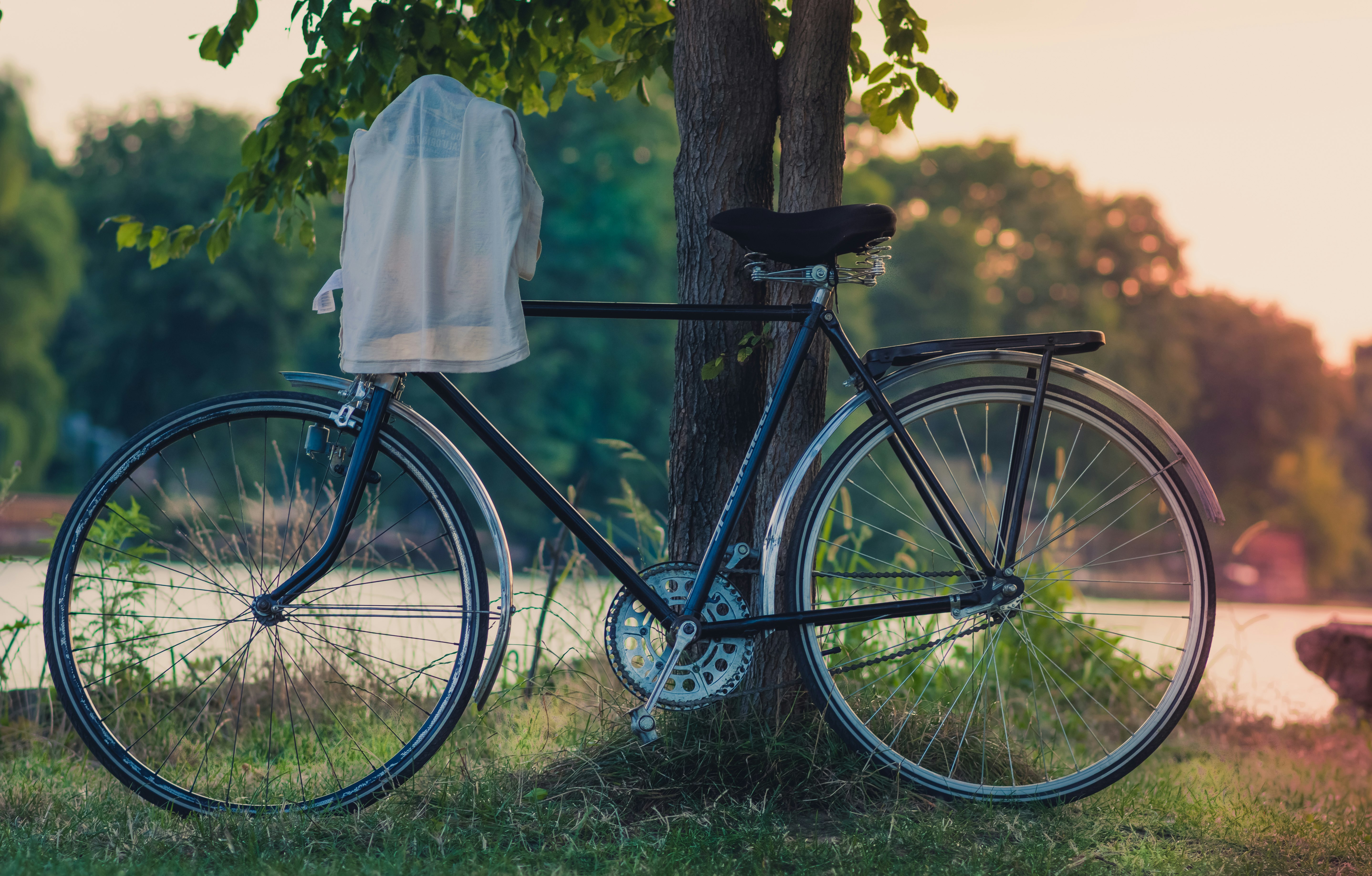 white cloth hanged on bike's handlebar leaned on tree